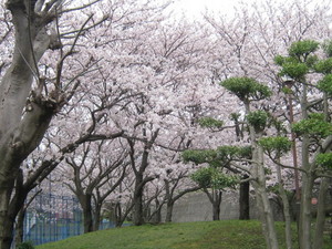20170119103347.JPG
